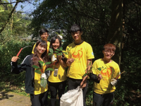 資訊志工採集藍染植物－大青圖片